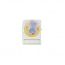 Среда микробиологическая Compact Dry SL Salmonella 40 шт/уп