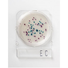 Среда микробиологическая Compact Dry EC E.coli and coliforms 40 шт/уп