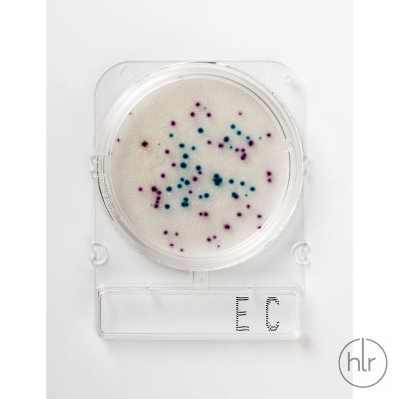 Среда микробиологическая Compact Dry EC E.coli and coliforms 40 шт/уп