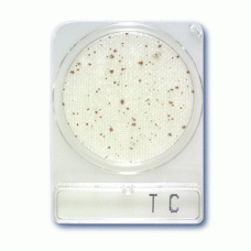 Cреда микробиологическая Compact Dry TC Total count 40 шт/уп