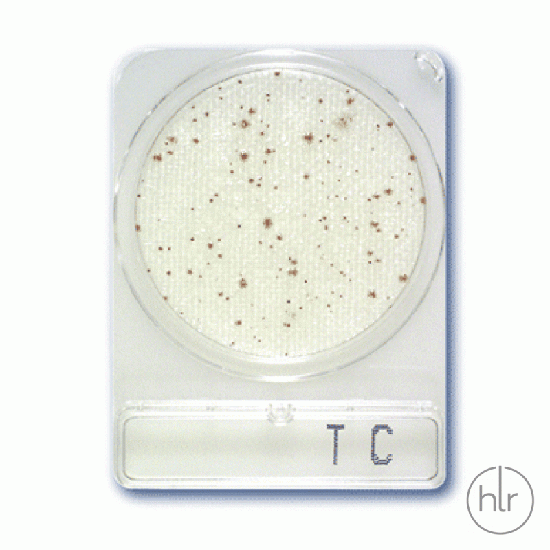 Cреда микробиологическая Compact Dry TC Total count 40 шт/уп