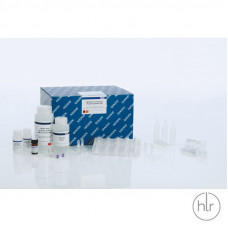 Набір для виділення QIAamp Circulating Nucleic Acid Kit (50) 55114