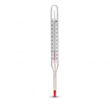 Термометр технічний ТТЖ-М  вик.1 П4 ( 0+100/1,0 С) в/ч 160 н/ч 66