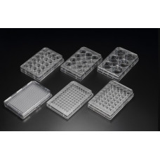 Планшет культуральний, 24 лунки, PS, S росту 1,9 см², необ.пов., стер. (SPL)