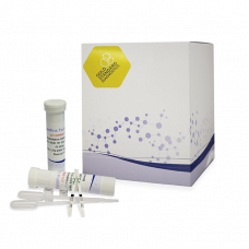 Тест-смужки для визначення ГМО CP4 EPSPS (Roundup Ready)  в сої та ріпаку, Gold Standard Diagnostics