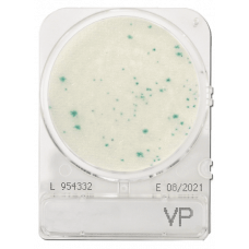 Среда микробиологическая CompactDry VP Vibrio parahaemolyticus 40 шт/уп