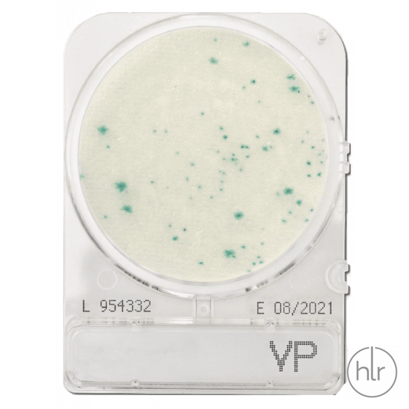 Середовище мікробіологічне CompactDry VP Vibrio parahaemolyticus 40 шт/уп