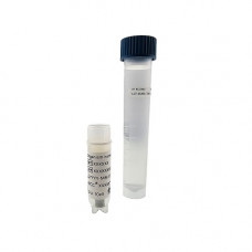 Тест штам L.fermentum  ATCC® 9338™ ( мікропеллет10), 3 покоління, 2 шт