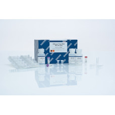 Набір QIAamp Viral RNA Mini Kit (50) 52904