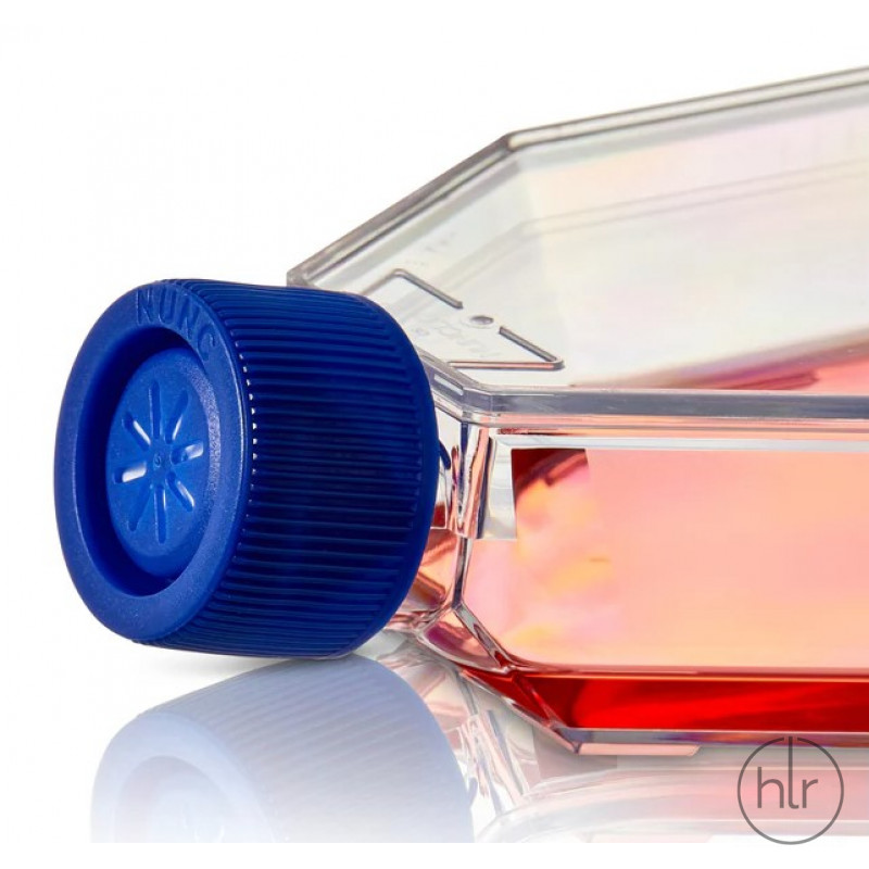 Флакон Easy Flask Non-Treated 25 см2, стерильный Nunc
